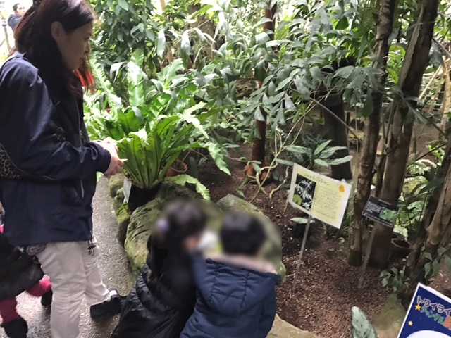 植物園