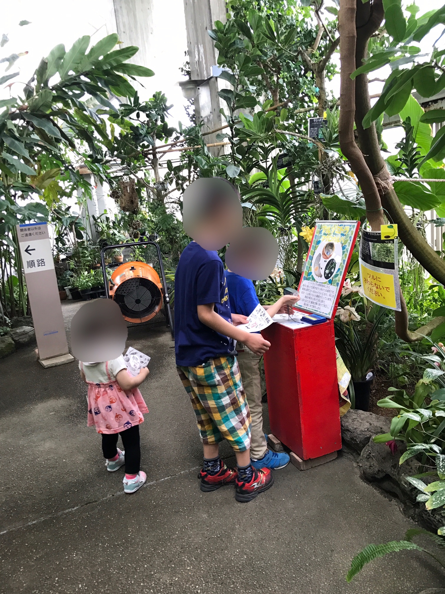 植物園１